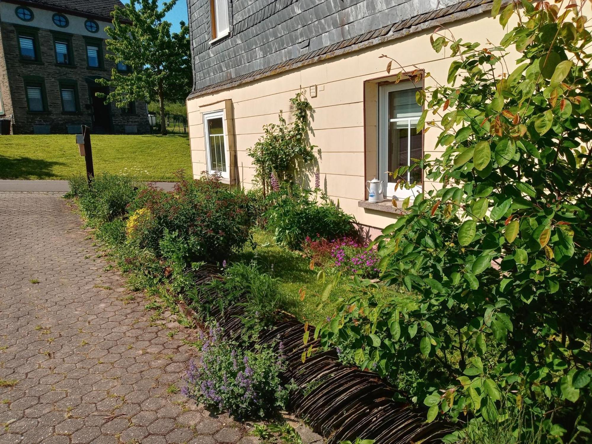 Ferienwohnung Otto Kleinich Ngoại thất bức ảnh